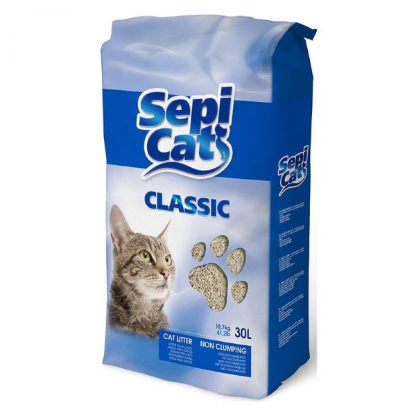 Non clumping cat litter - house training your cat