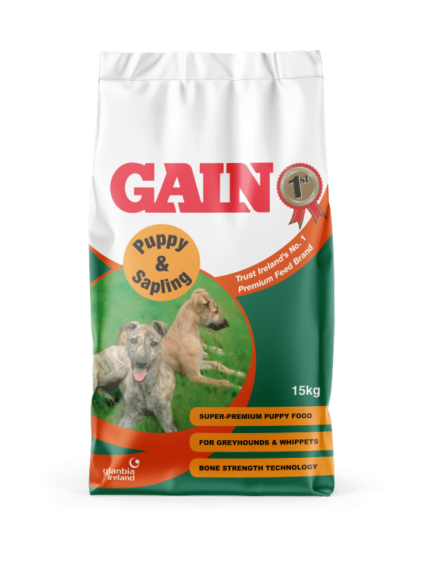 Gain Puppy and Sapling Greyhound Food