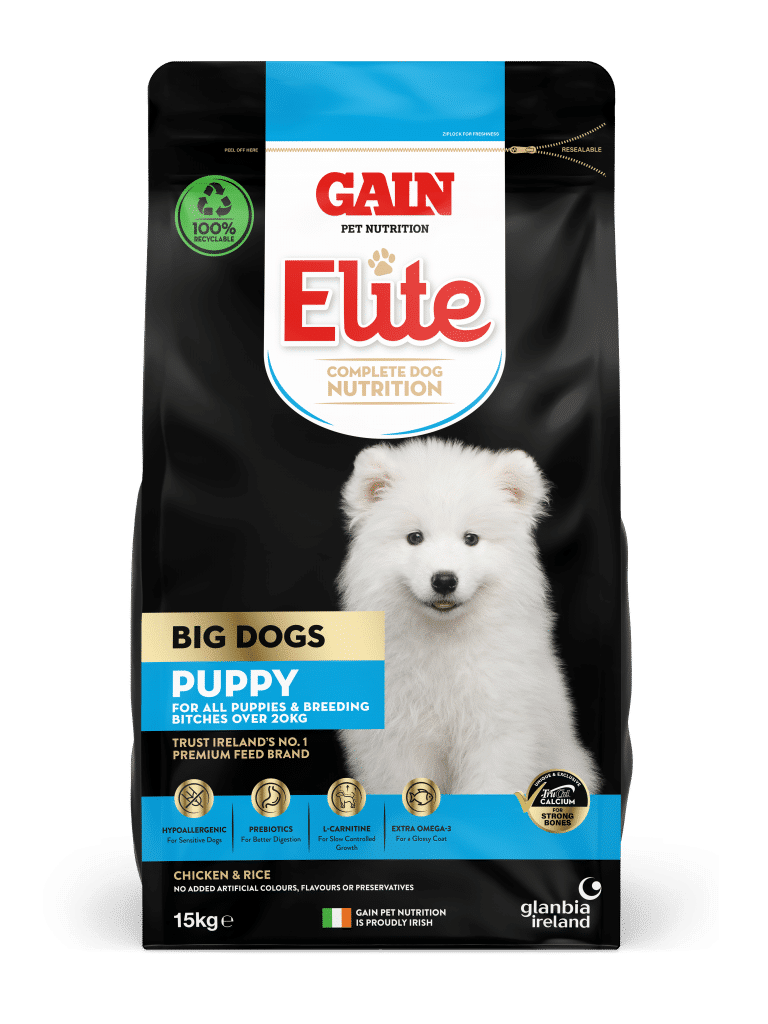 GAIN Elite Big Dog Breed Puppy Complete Dry Dog Food 15kg The Pet Food Market