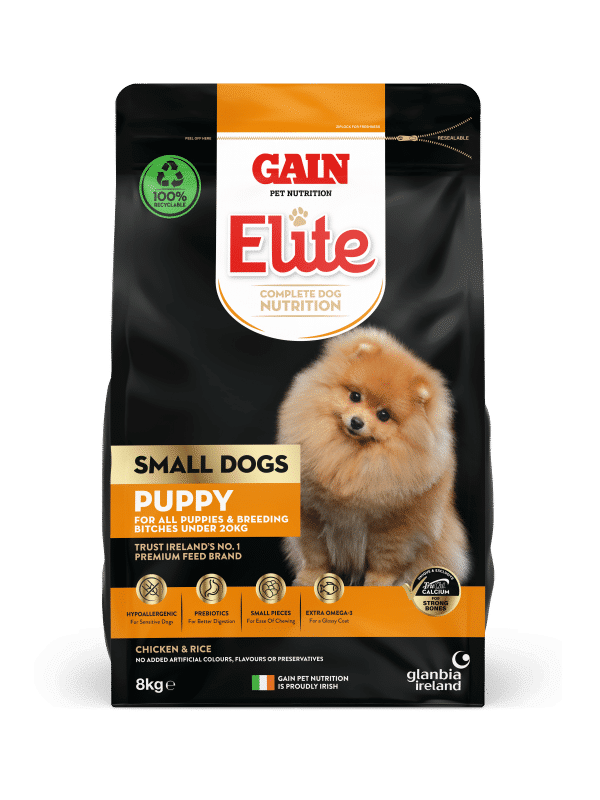 Small Dog Puppy Premium Dog Food