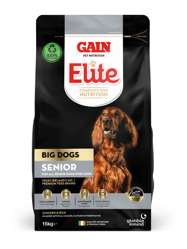 Big Dog Senior Premium Dog Food