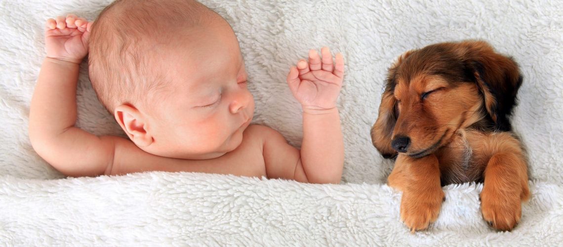 Newborn baby and a dachshund puppy sleeping together.
